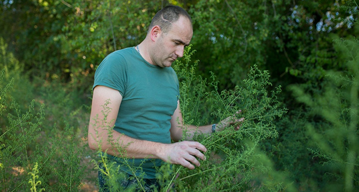 20201011 2 44777233 58806572 Web