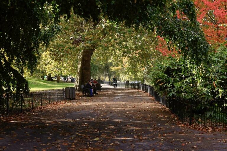 Velika Britanija zabranila ulaske iz Danske zbog širenja virusa s kanadske kune