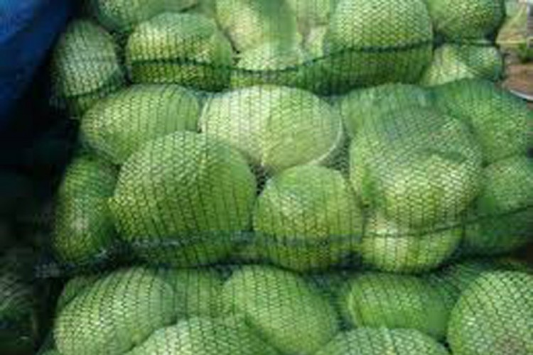 20201023191019 628130