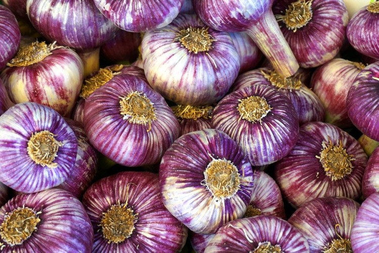 20201101124205 629453