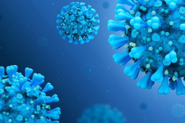 20201120124827 632744