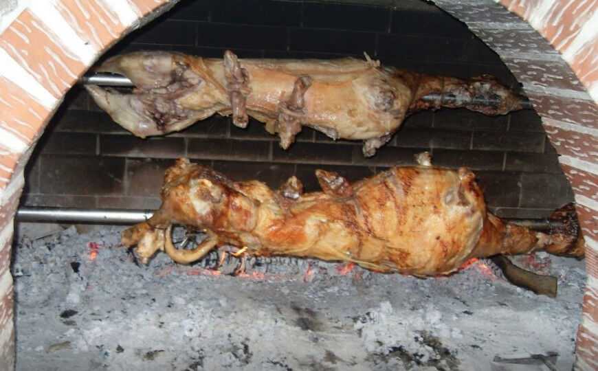 670DE24B EDD2 4AA5 AACB 8C4C83B6E603