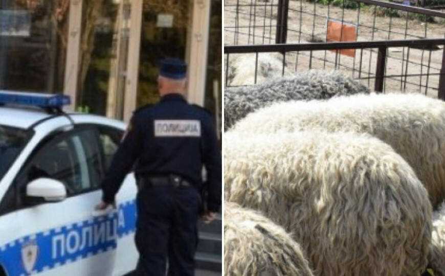 1ED98DC0 9771 4625 AD71 E7C138784CB1