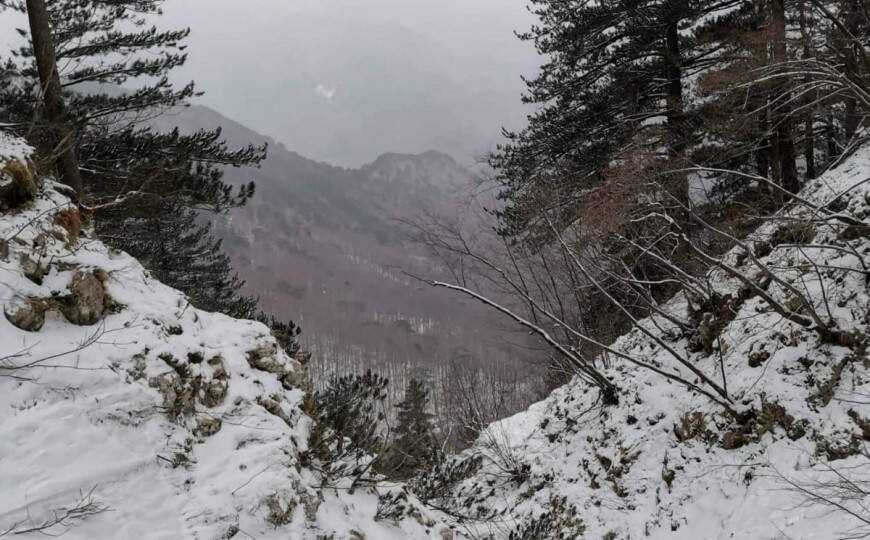 29878024 935D 4A37 B3FD DA78E0276783