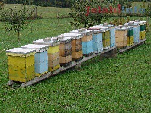 75AF6F06 0B12 4C46 AF2A 24EFBE46B8E3 75AF6F06 0B12 4C46 AF2A 24EFBE46B8E3