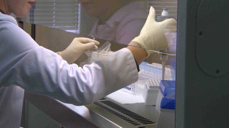 7880cfb465e2c9d1bbd5337ea71c8508