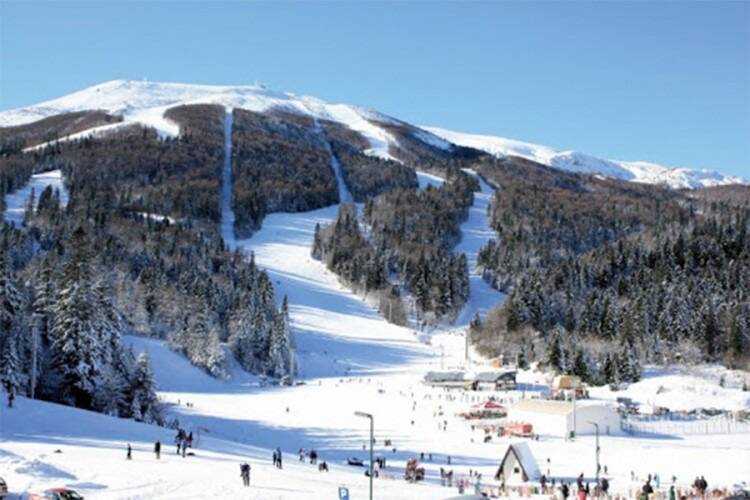 7A01ADA0 5DF5 40F3 A167 1F005231244A