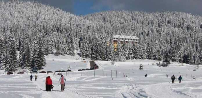 7ca1d355 a7f0 4fd0 9d2a 5e56d1254c8dplanina 7ca1d355 a7f0 4fd0 9d2a 5e56d1254c8dplanina