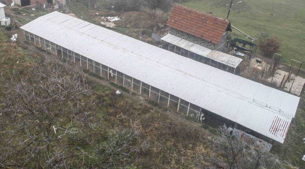 ANIMALCAREZENICA MEDIJIMA 014 1