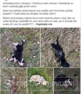 Konjic psi otrov februar2021 FB8