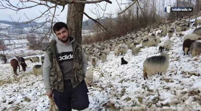 “Ne može čovjek sam ništa raditi, pobudalio bi!”: Ovčar Zajko iz Željeznog Polja