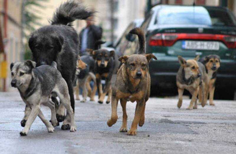 c34a1a3c4bf674f86028d059ef42a645