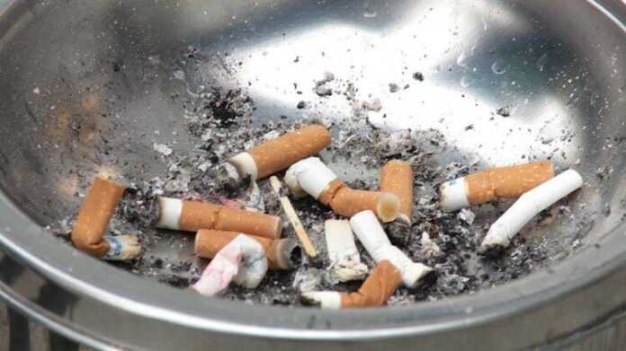 cigare2 99336 750x421 1 cigare2 99336 750x421 1
