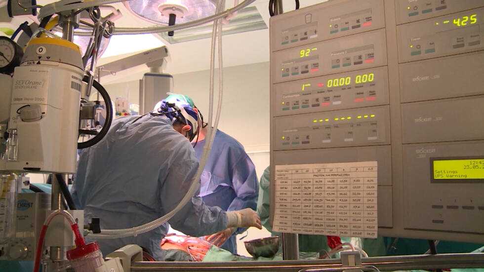 doniranje organa vid 211550