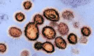 koronavirus 696x415 1
