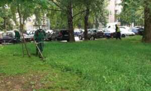 park