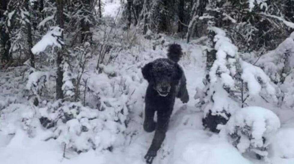 prt scr iluzija 24sata hr februar 2021