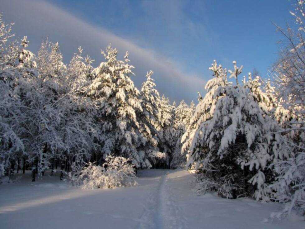 rusija suma policija djeca