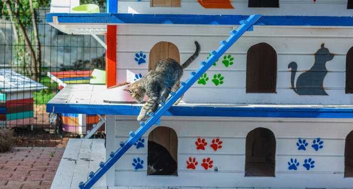 trospratnica antalija2 1