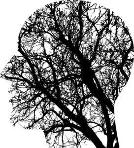 unknown 1769656 1280 750x828 1