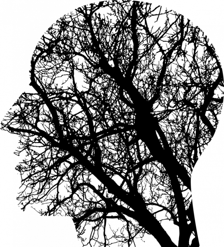 unknown 1769656 1280 750x828 1