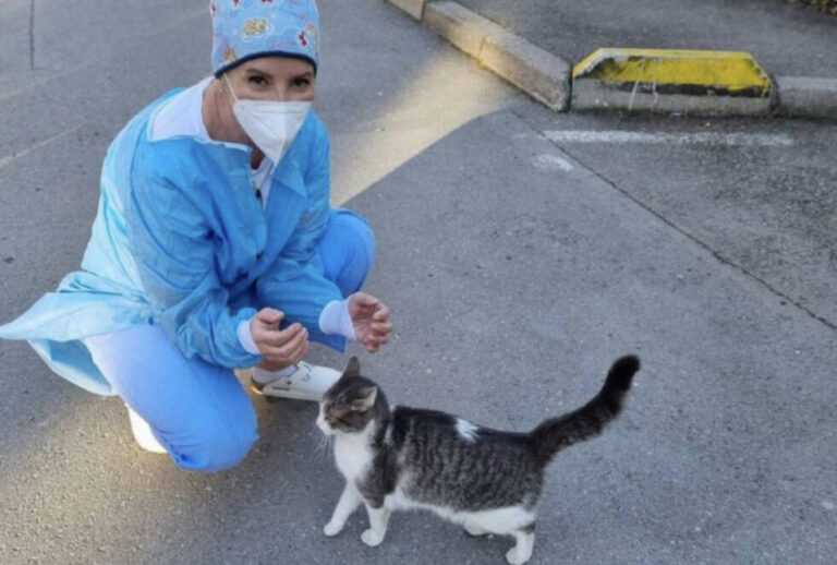 Sebija Izetbegović objavila fotografiju s mačkom: I moralna podrška nam je dobrodošla