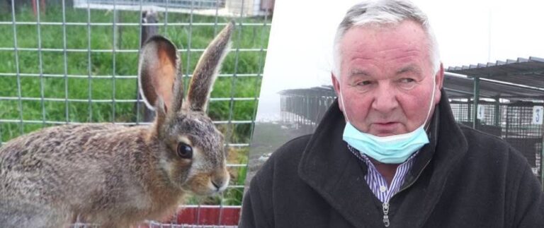 Bivši vozač kamiona zarađuje uzgajajući divljač (VIDEO)