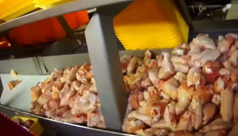 Košarac: Izvoz pilećeg mesa u EU nije obustavljen niti ugrožen