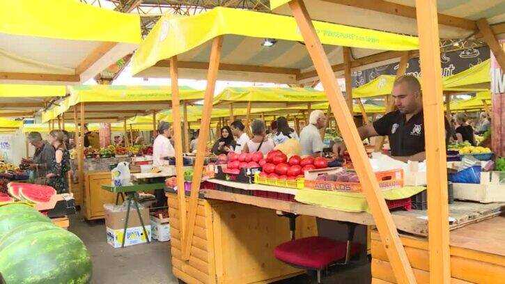 sa pkg ive pijaca 1 248930 725x408 1