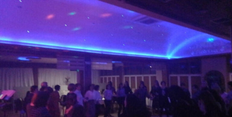 Korona parti u BiH: Desetine žena slavile Osmi mart