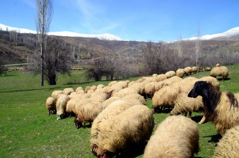 0fd61162db58dc3bc34b352f2e2b72b1