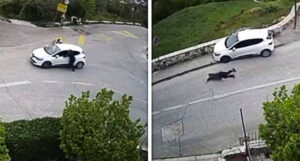 1f95e21e ca0f 4667 bac4 9d9f75c42f94 1