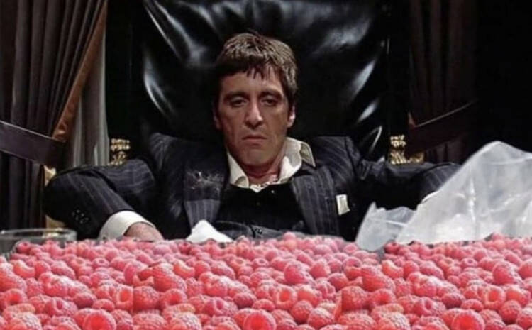 Danis Tanović pecnuo respiratorsku mafiju: Godinu poslije, sve isto…