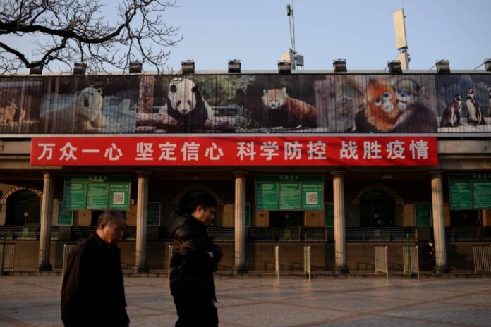 2021-04-01T234328Z_1891077313_RC2BNM93GA2N_RTRMADP_3_HEALTH-CORONAVIRUS-CHINA-WILDLIFE-2048x1367