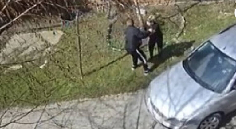 Užas u BiH: Napao stariju ženu i udarao je zbog prilaznog puta