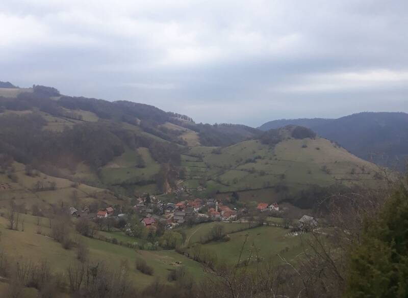 5a256031b31a8b315d949853db1247dc