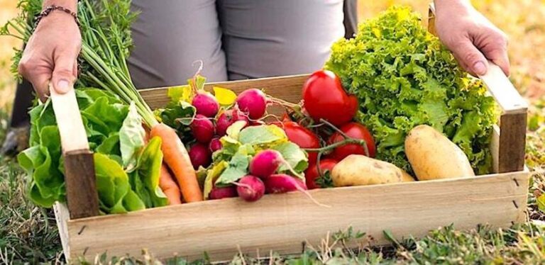 BiH prijeti glad ako se ne zaštiti domaća proizvodnja