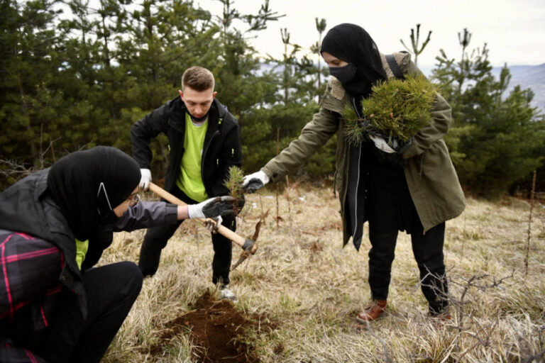 “Naša planeta, naša budućnost”: U 10 bh. gradova zasadili više od 6.000 sadnica