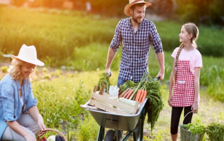 Voće i povrće prodaju u naseljima, preko interneta…, tržnice opustjele