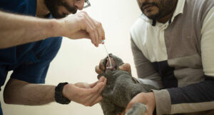 hypatia h bf8eb0a790320bb66ebae0ae85423017 h 1e1c86a279ed63861ffaf0f11ea2eaa9