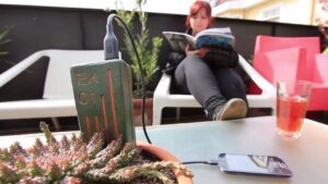 punjac 131037 750x422 1