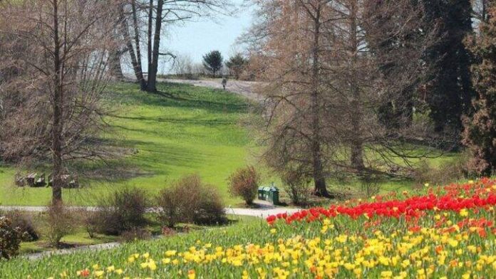spring-87014-960-720-284637-725x408