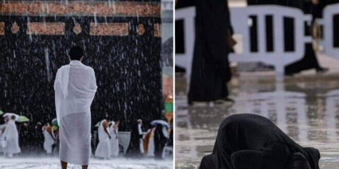 1005x635 14 660x330 1