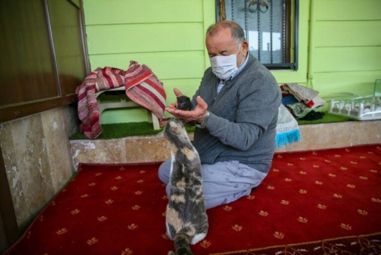 Mesdžid postao dom za mačku i njeno mladunče