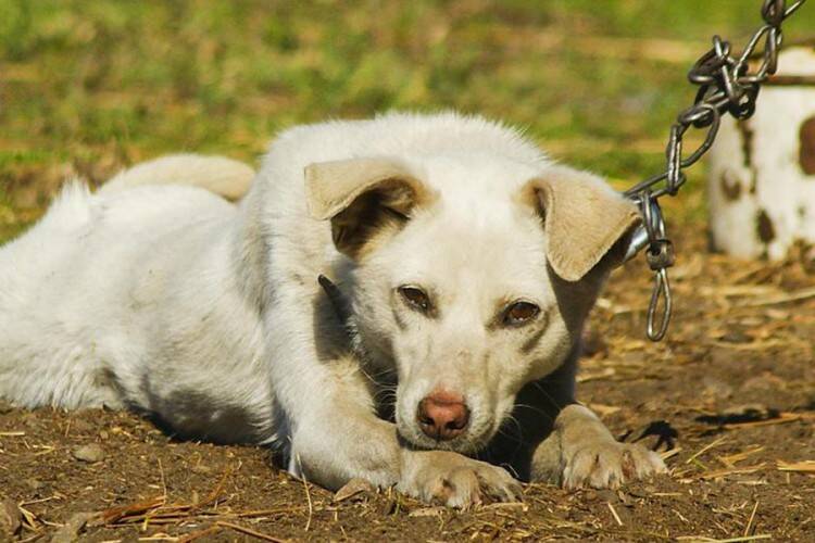 20210503150654 659700