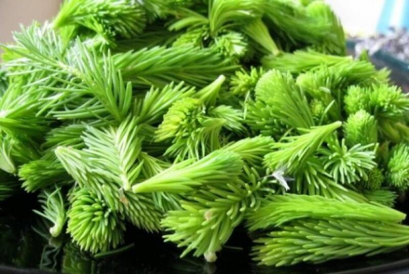 54ad445b6f04523f440b312b153df332