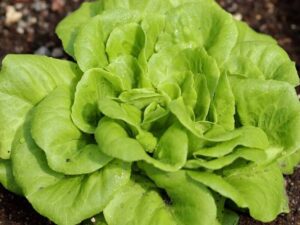 5cbe409e8800615d6f2b1af7d3b2509e