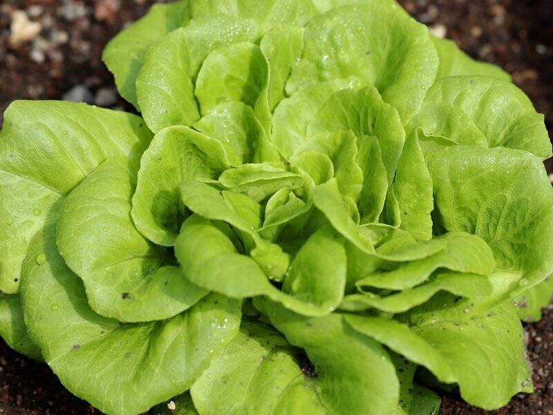 5cbe409e8800615d6f2b1af7d3b2509e