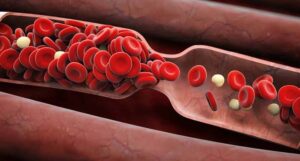 76f608800b96ebba2de76dc385319c87 hero