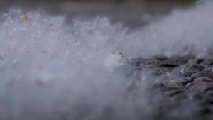 7fe79e5d5bb6d9648f2416335f45cc40